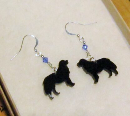 Bernese Mountain Dog Earrings