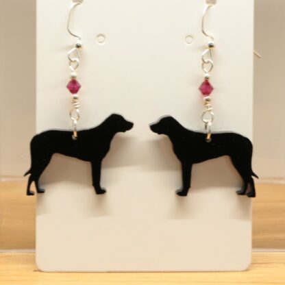 Greater Swiss Mountain Dog Earrings