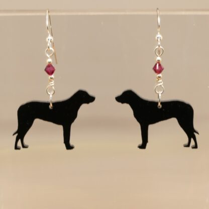 Greater Swiss Mountain Dog Earrings