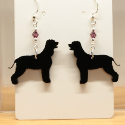 Irish Water Spaniel Earrings