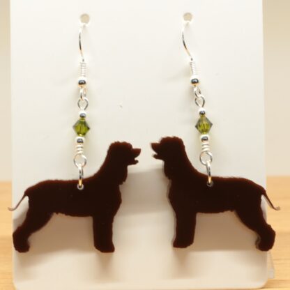 Irish Water Spaniel Earrings