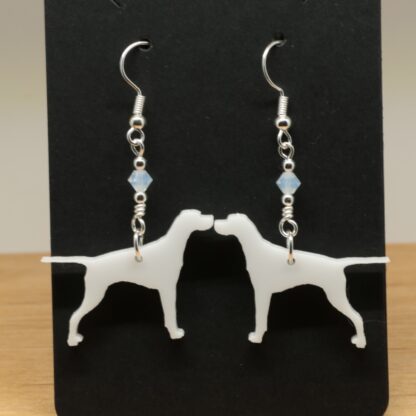 Pointer Earrings