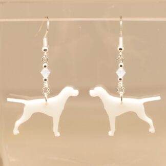 Pointer Earrings