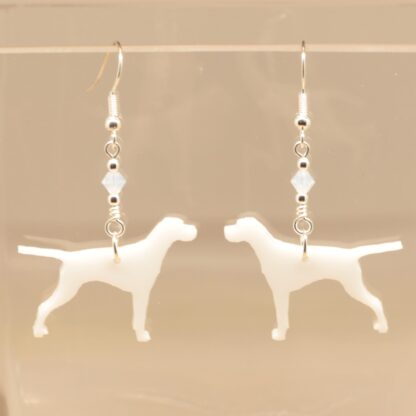 Pointer Earrings